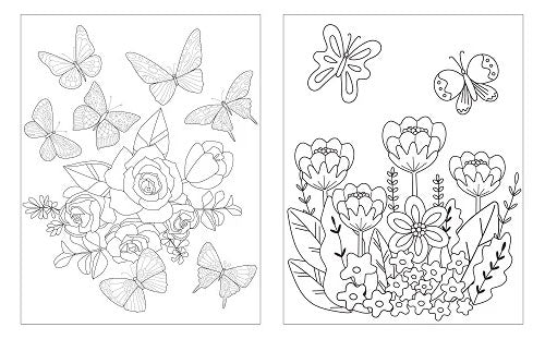 Arcturus | Large Print Butterflies Colouring Book