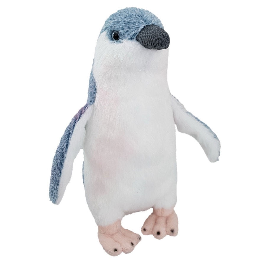 Antics | Little Blue Penguin - With Sound