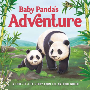 Baby Panda's Adventure - Board Book