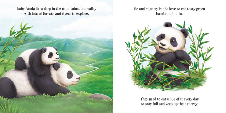 Baby Panda's Adventure - Board Book