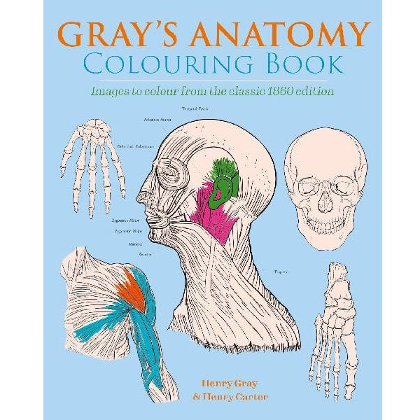 Arcturus | Gray's Anatomy - Colouring Book