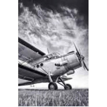 Frankie & Me | 90x60cm Poster - Black and White Plane