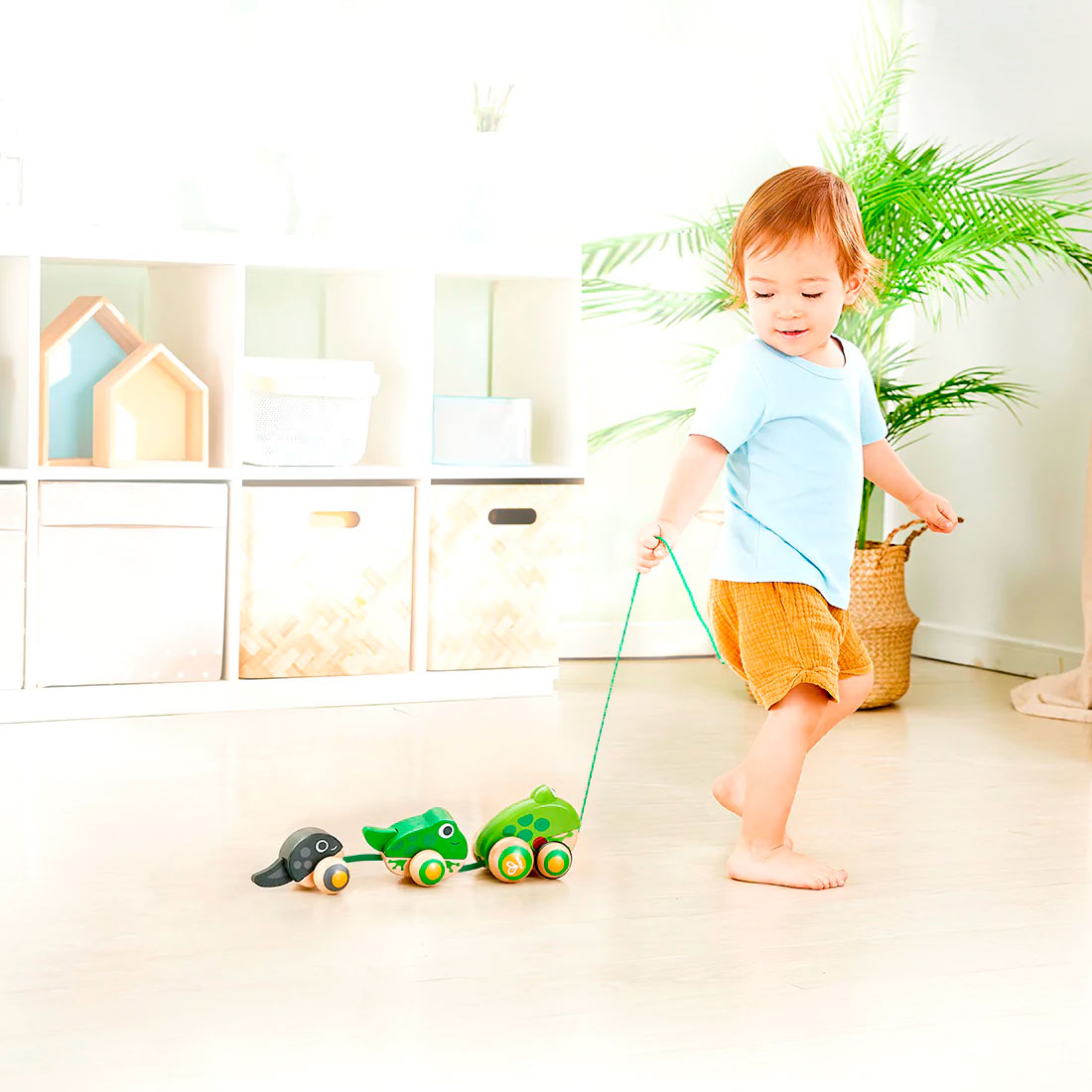 Hape | Pull Along Frog Family